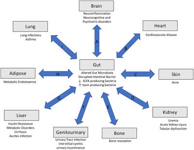 Approach to the diagnosis and management of dysbiosis